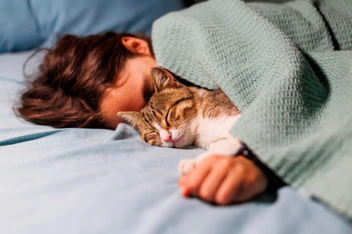 猫が『一緒に寝たい』と感じる人の特徴, 1.そばにいると安心できる, 2.体温や寝返りがちょうどいい, 3.不快に感じないニオイをしている, 4.無言のコミュニケーションが上手, 添い寝で気をつけたい大切なポイント