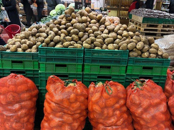 ジョージアのお正月は驚くほど静か, 「新年にするべきこと」を手放したら心地よく過ごせた, 目標を立てなくても、人生はちゃんと進む, 大きな夢や立派な計画よりも「小さな好奇心」をもつ, なにかをたすより、なにを大切にするか