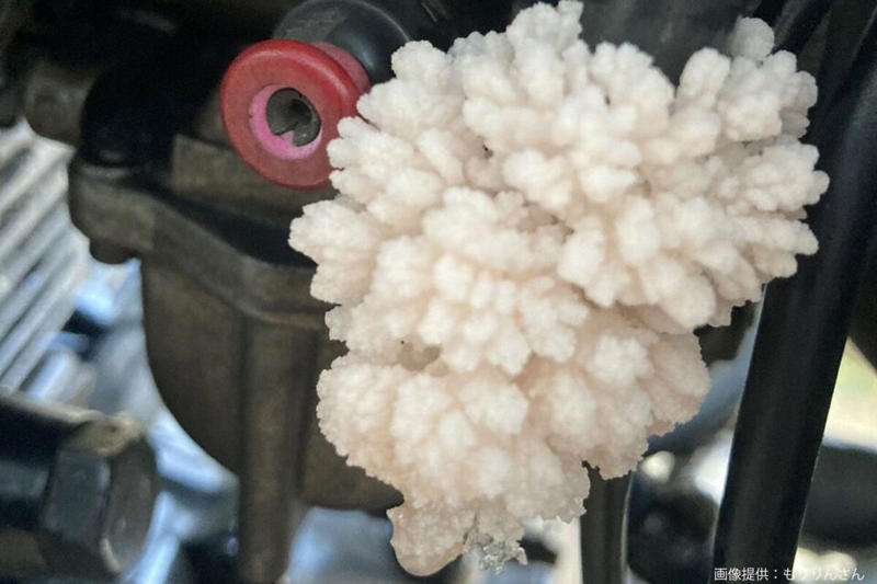 ■一見普通のバイク、よく見ると奇妙な物が…, ■正体は「ガソリンの花」？, ■石油連盟は「ガソリンは凍らない」と断言, ■日本二輪車普及安全協会は「危険な状態」, ■執筆者プロフィール