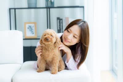 犬が『飼い主の席を横取りする』5つの心理, 1.飼い主のニオイで安心したい, 2.甘えたい・かまってほしい, 3.飼い主と同じ目線になりたい, 4.暖かくて単純に居心地がいい, 5.心配すべきケース — 分離不安気味のサイン, 注意すべき行動や対処法