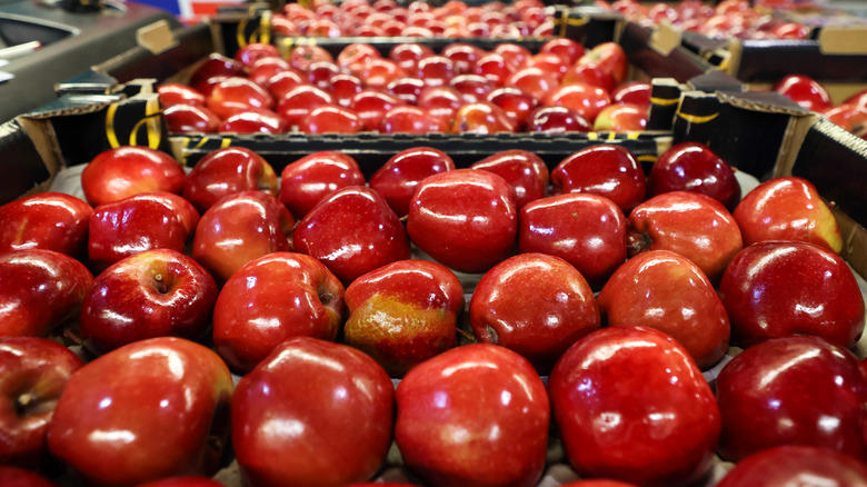 Red Delicious apples Twinkies, Red Delicious apples, Pizza Hut, Jaffa Cakes, Butterfingers