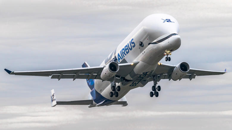 Airbus BelugaXL -- 40,956 square feet, Airbus A340-600 -- 51,469 square feet, Antonov An-124-100 Ruslan -- 54,480 square feet, Lockheed Martin C-5M Super Galaxy -- 55,210 square feet, Boeing 747-8 -- 56,145 square feet