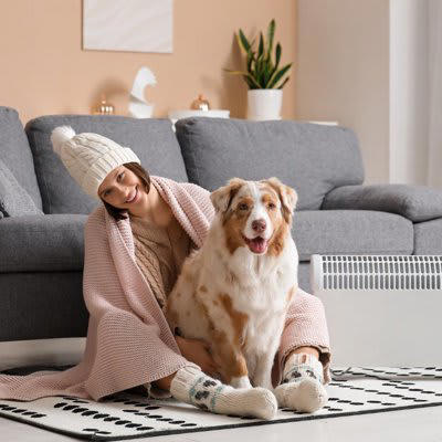 犬が『耐えられる寒さ』はどのくらい？, 冬場の室温は何度に保てばいいの？, 冬場の室温目安は20〜25度, 暖房器具は安全なエアコンが最適, 設定温度は18〜22度がベスト, 暖房以外にも寒さ対策グッズを併用して, 犬が過ごす部屋で暖房を使う際の注意点