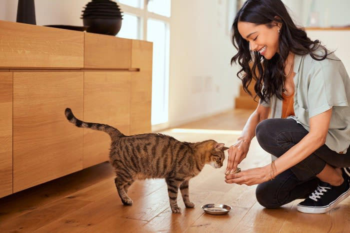 猫が飼い主に「恩義」を感じていること5選, 1.安心できる環境と居場所を提供してくれること, 2.毎日、安定した食事と水を与えてくれること, 3.トイレ掃除など、快適に暮らせるように世話をしてくれること, 4.無理に干渉せず、猫のペースを尊重してくれること, 5.病気や怪我をした時にケアしてくれること, 猫の「恩義」が表れる行動やサイン, 恩義を深めるために飼い主ができること