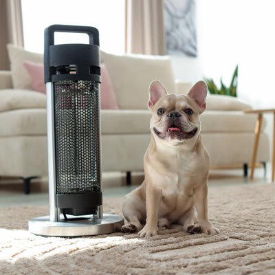 犬を留守番させるときにやってはいけない防寒対策3つ, 1.こたつやホットカーペットをつけておく, 2.暖房器具のコードをコンセントに差しっぱなしにする, 3.適切な寒さ対策をしない, 犬を安全に留守番させるための対策