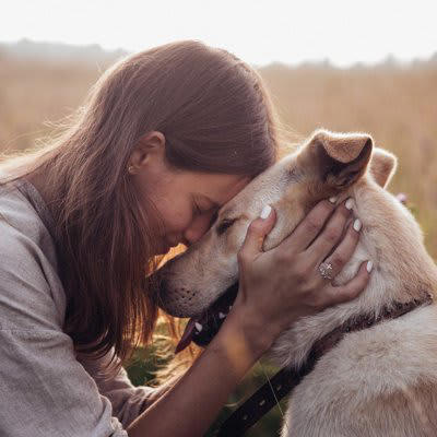 1.無条件の愛情を注ぐこと, 2.生涯を守り抜くという覚悟をすること, 3.犬の気持ちを尊重する心を持つこと, 4.怒ることよりもしつけることを優先すること, 5.健康寿命を守るための管理を徹底すること, 6.十分な時間を一緒に過ごすこと, 7.個性を理解して尊重すること, 8.老いと分かれを受け入れること