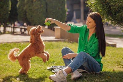 1.無条件の愛情を注ぐこと, 2.生涯を守り抜くという覚悟をすること, 3.犬の気持ちを尊重する心を持つこと, 4.怒ることよりもしつけることを優先すること, 5.健康寿命を守るための管理を徹底すること, 6.十分な時間を一緒に過ごすこと, 7.個性を理解して尊重すること, 8.老いと分かれを受け入れること