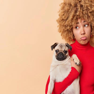 犬が『抱っこを嫌がる』理由, 1.身動きが取れないから, 2.抱っこの仕方が悪い, 3.抱っこのあとに苦手なことをされた, 注意すべき犬の抱っこの仕方