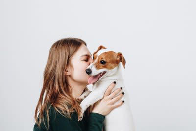 犬が『抱っこを嫌がる』理由, 1.身動きが取れないから, 2.抱っこの仕方が悪い, 3.抱っこのあとに苦手なことをされた, 注意すべき犬の抱っこの仕方