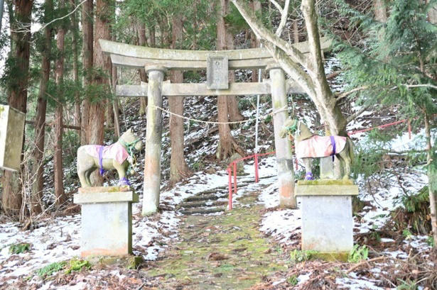 馬と心通わす、癒やしと絶景の「触れ合い体験」, 【青森屋】冬の風物詩！雪景色に揺られる、ぬくもりの「ストーブ馬車」, 【リゾナーレ八ヶ岳】乗るだけじゃない！「馬のまち」で叶う本格世話体験と、看板馬「デイジー」に癒やされる休日, 【星のや沖縄】まるで映画のワンシーン。看板馬「グース」や「グッディー」と歩く、絶景の海辺乗馬, 【星野リゾート トマム】視界すべてがスノーホワイト！馬の背から見渡す、静寂と感動の「白銀の乗馬体験」, 午年の初詣はここで決まり！ご利益上昇、星野リゾートおすすめ「馬の神社」巡り, 【界 霧島】国宝本殿前での「特別参拝」が叶う、究極の開運旅。午年限定の愛らしい和菓子も登場, 【OMO5京都三条】「乗馬発祥の地」で白馬の新春神事。勝負運の神様で「勝ち馬」祈願も叶う京都旅, 【界 仙石原】神様が白馬で降り立った伝説の地。「天空の社」を詣でる、神秘の絶景パワースポット, 【星のや東京】江戸総鎮守で「仕事運」も上昇!?都会の真ん中で愛らしい神馬に会える最強スポット, 【界 津軽】午年の守り神「一代様」へ。雪深い山道の先に待つ、神秘の古社で得られる格別の達成感, 【番外編】知ればもっと楽しくなる！星野リゾートの「馬コラム」, 星野リゾートについて