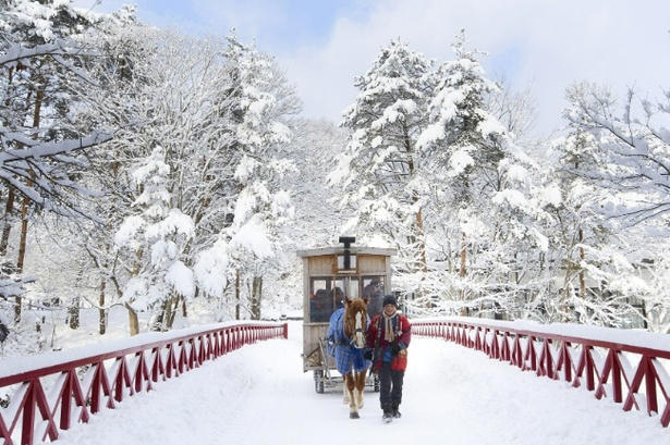 馬と心通わす、癒やしと絶景の「触れ合い体験」, 【青森屋】冬の風物詩！雪景色に揺られる、ぬくもりの「ストーブ馬車」, 【リゾナーレ八ヶ岳】乗るだけじゃない！「馬のまち」で叶う本格世話体験と、看板馬「デイジー」に癒やされる休日, 【星のや沖縄】まるで映画のワンシーン。看板馬「グース」や「グッディー」と歩く、絶景の海辺乗馬, 【星野リゾート トマム】視界すべてがスノーホワイト！馬の背から見渡す、静寂と感動の「白銀の乗馬体験」, 午年の初詣はここで決まり！ご利益上昇、星野リゾートおすすめ「馬の神社」巡り, 【界 霧島】国宝本殿前での「特別参拝」が叶う、究極の開運旅。午年限定の愛らしい和菓子も登場, 【OMO5京都三条】「乗馬発祥の地」で白馬の新春神事。勝負運の神様で「勝ち馬」祈願も叶う京都旅, 【界 仙石原】神様が白馬で降り立った伝説の地。「天空の社」を詣でる、神秘の絶景パワースポット, 【星のや東京】江戸総鎮守で「仕事運」も上昇!?都会の真ん中で愛らしい神馬に会える最強スポット, 【界 津軽】午年の守り神「一代様」へ。雪深い山道の先に待つ、神秘の古社で得られる格別の達成感, 【番外編】知ればもっと楽しくなる！星野リゾートの「馬コラム」, 星野リゾートについて