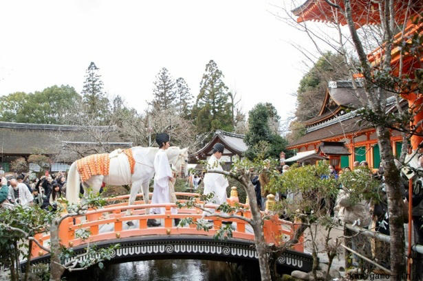 馬と心通わす、癒やしと絶景の「触れ合い体験」, 【青森屋】冬の風物詩！雪景色に揺られる、ぬくもりの「ストーブ馬車」, 【リゾナーレ八ヶ岳】乗るだけじゃない！「馬のまち」で叶う本格世話体験と、看板馬「デイジー」に癒やされる休日, 【星のや沖縄】まるで映画のワンシーン。看板馬「グース」や「グッディー」と歩く、絶景の海辺乗馬, 【星野リゾート トマム】視界すべてがスノーホワイト！馬の背から見渡す、静寂と感動の「白銀の乗馬体験」, 午年の初詣はここで決まり！ご利益上昇、星野リゾートおすすめ「馬の神社」巡り, 【界 霧島】国宝本殿前での「特別参拝」が叶う、究極の開運旅。午年限定の愛らしい和菓子も登場, 【OMO5京都三条】「乗馬発祥の地」で白馬の新春神事。勝負運の神様で「勝ち馬」祈願も叶う京都旅, 【界 仙石原】神様が白馬で降り立った伝説の地。「天空の社」を詣でる、神秘の絶景パワースポット, 【星のや東京】江戸総鎮守で「仕事運」も上昇!?都会の真ん中で愛らしい神馬に会える最強スポット, 【界 津軽】午年の守り神「一代様」へ。雪深い山道の先に待つ、神秘の古社で得られる格別の達成感, 【番外編】知ればもっと楽しくなる！星野リゾートの「馬コラム」, 星野リゾートについて