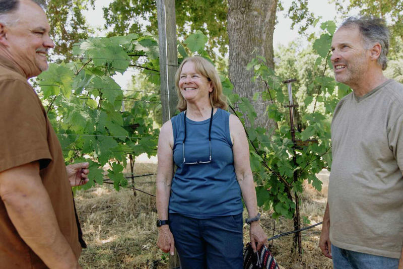 White wine took the spotlight, There were some happy-ending acquisition stories, California continued to make really good wine, Related Reading, Subscribe