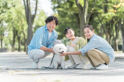 犬を飼った人が思う「苦労」5選, 1.思い通りにいかない毎日の連続, 2.休みなしで続く日々のルーティン, 3.気軽に出かけられない不自由さ, 4.予想以上にかかる日々の維持費, 5.「いい飼い主」でいなきゃというプレッシャー, 飼い主の負担をグッと軽くする解決策とは, プロや便利グッズを頼る, 完璧を目指さない, 相談相手を見つける, 苦労の先にある「かけがえのない幸せ」
