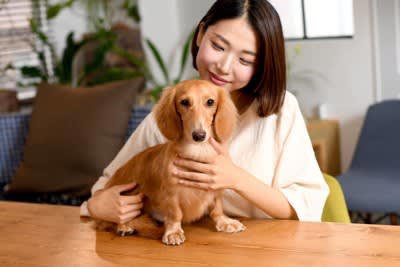 犬を飼った人が思う「苦労」5選, 1.思い通りにいかない毎日の連続, 2.休みなしで続く日々のルーティン, 3.気軽に出かけられない不自由さ, 4.予想以上にかかる日々の維持費, 5.「いい飼い主」でいなきゃというプレッシャー, 飼い主の負担をグッと軽くする解決策とは, プロや便利グッズを頼る, 完璧を目指さない, 相談相手を見つける, 苦労の先にある「かけがえのない幸せ」