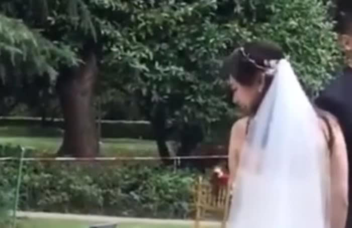 花嫁のベールにじゃれつく野良猫, 結婚式に野良猫が迷い込む, ベールに寝転がる野良猫, ハッピーエンドは猫ちゃんにも