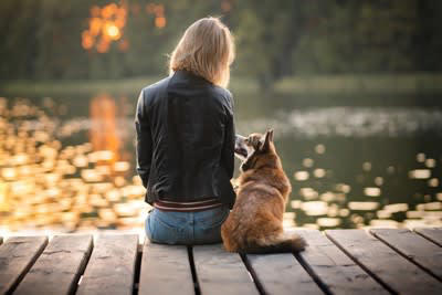 犬はどんなときに呆れるの？, 飼い主に呆れた犬が見せる行動とは？, 1.「ふんっ」という強くて短い鼻息を吐く, 3.フリーズする, 4.そっと離れて距離をとる, 5.守ってあげたい, 失いかけた信頼を回復するためのポイント