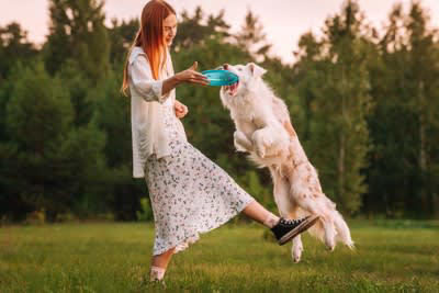 犬はどんなときに呆れるの？, 飼い主に呆れた犬が見せる行動とは？, 1.「ふんっ」という強くて短い鼻息を吐く, 3.フリーズする, 4.そっと離れて距離をとる, 5.守ってあげたい, 失いかけた信頼を回復するためのポイント