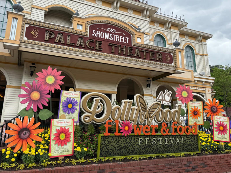 How much does it cost to go to Dollywood or Disney World?, Rides and attractions, Shows and entertainment, Dining at Dollywood and Disney World, Seasonal events, Dollywood and Disney hotels, Is Dollywood or Disney World best for you?