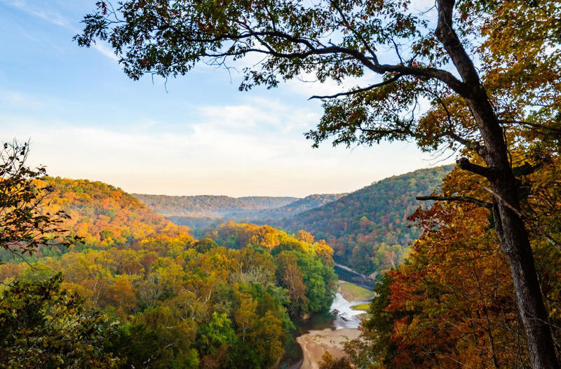 Mammoth Cave National Park, Crystal River, Florida, Coastal Mississippi, Hot Springs National Park, Harpers Ferry National Historical Park, Fort Payne, Alabama, Virginia Wine Country, Black Mountain, North Carolina, Knoxville, Tennessee, Terlingua, Texas
