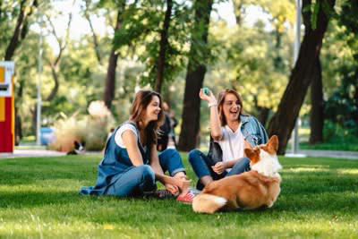 犬がつらいと感じる『人間の習慣』５選, 1.留守番時間が極端に長い, 2.休日だけ過剰なほどかまう, 3.規則正しすぎるタイムスケジュール, 4.夜更かしして遅くまで部屋が明るい, 5.頻繁に模様替えをする, 犬のストレスによる危険な症状