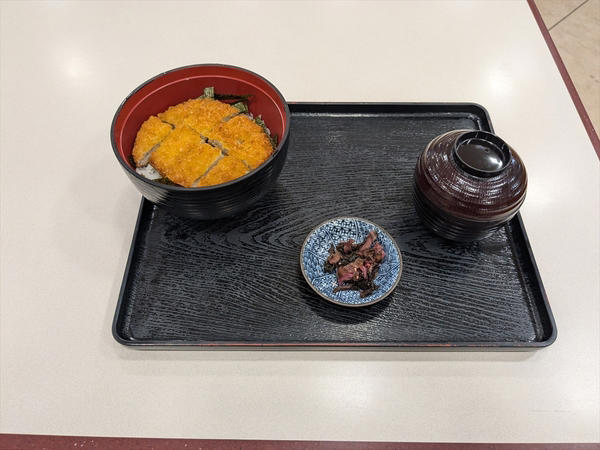 オートポリスまでは自走の方がラクで安い？, 15時に東京・用賀出発！ 果たして何時に着くのか, 名古屋から大阪まで駆けぬけるも燃料は余裕, ついに広島で給油ランプが！ 初めての給油, 九州上陸！ 高速代は予定より安かった, e-POWERは高速道路で燃費が悪いわけではなかった！