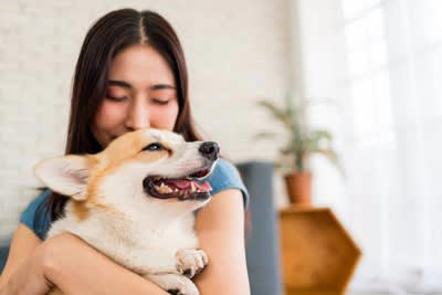 犬が嬉しがる『ワード』５選, 1.「いいこ」「すごいね」, 4.「散歩」「ごはん」「おやつ」, 犬が大喜びしているときに見せる行動