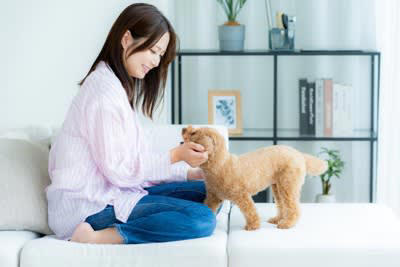 犬が『留守番できなくなる』飼い主の行動5つ, 1.外出前に過剰に話しかけたり抱きしめる, 2.帰宅後にテンション高く構いすぎる, 3.常に一緒にいようとする・べったり過ごす, 4.留守番中の失敗を叱る, 5.生活リズムや外出時間がバラバラ, 留守番が苦手な犬は「分離不安」かも, 「外出＝不安」と学習してしまう, 「帰宅＝興奮」と結びつく, 不安を感じやすい性格の犬もいる, 安心してお留守番できるようにするコツ, 短時間から練習して“離れること”に慣らす, 外出前後はあえて“淡々と”接する, 留守中は音・におい・安心できる環境を整える, おもちゃ・知育グッズで「待つ時間＝楽しい時間」に