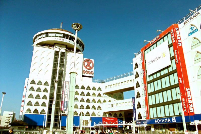 柏駅西口の再開発停滞, 柏駅東口の再開発と柏そごう, そごう柏店の破綻と地位喪失, そごう柏店跡地の廃墟化, 商店街の老朽化と雑多な街並み, 柏駅東口再整備の三案, 複雑な所有関係と再開発の課題