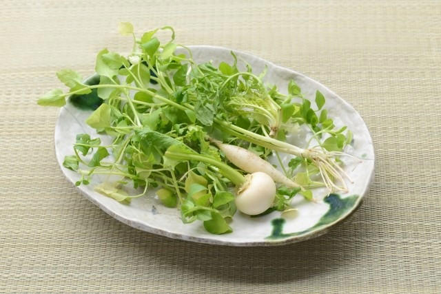 ・七草がゆっていつ食べるのが正解なの？, ・七草がゆに使う春の七草の種類を紹介, ・1月7日に七草がゆを食べる意味って？, ・七草がゆの材料はどこで買えばいいの？, ・鶏肉入りでボリュームアップ！基本の七草がゆ, ・小さな子でも大丈夫！子どもが食べやすいコンソメ七草がゆ, ・鶏ガラスープの素で作る中華風七草がゆ