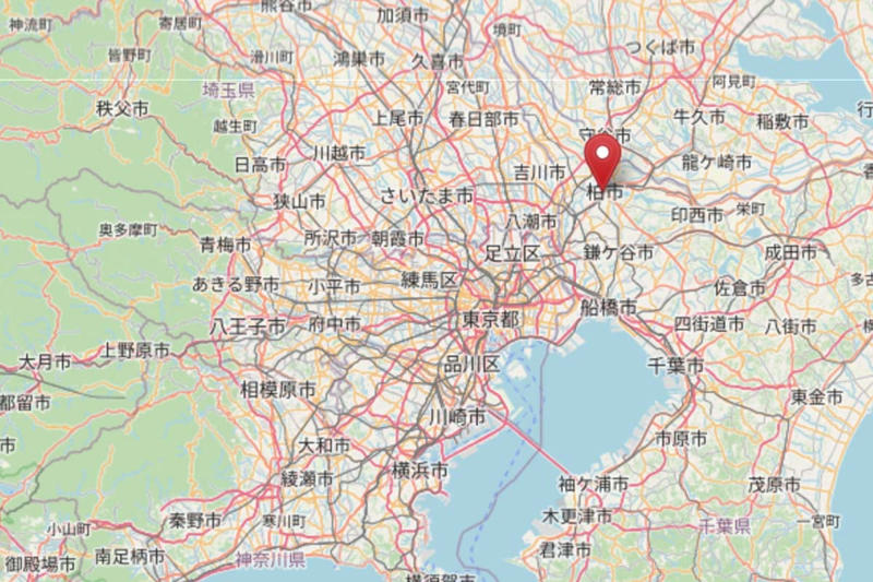柏駅西口の再開発停滞, 柏駅東口の再開発と柏そごう, そごう柏店の破綻と地位喪失, そごう柏店跡地の廃墟化, 商店街の老朽化と雑多な街並み, 柏駅東口再整備の三案, 複雑な所有関係と再開発の課題