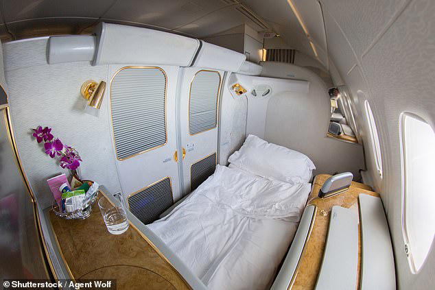 Ticket cost, Service , Seating , Amenities, Luggage allowances and check-in, Rules and restrictions, Social Etiquette