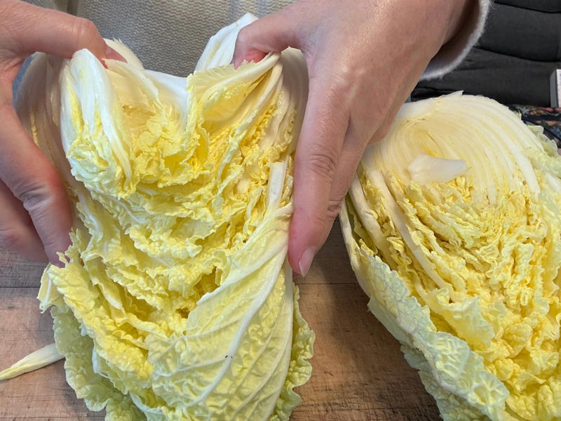 秘訣は包丁で分割しようとしないこと, 1.白菜の芯に深さ5cmくらいの切り込みを入れる, 4等分する時も同じやり方でOK, 手で割くのが簡単！