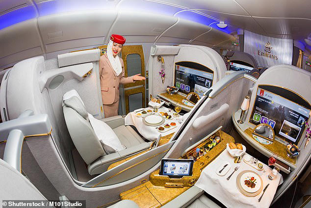 Ticket cost, Service , Seating , Amenities, Luggage allowances and check-in, Rules and restrictions, Social Etiquette
