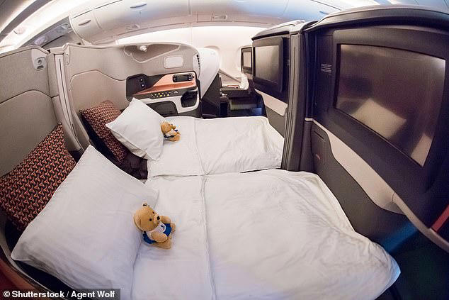Ticket cost, Service , Seating , Amenities, Luggage allowances and check-in, Rules and restrictions, Social Etiquette