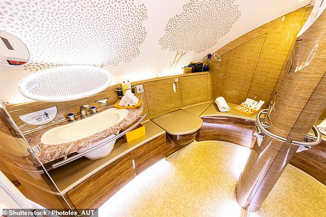 Ticket cost, Service , Seating , Amenities, Luggage allowances and check-in, Rules and restrictions, Social Etiquette