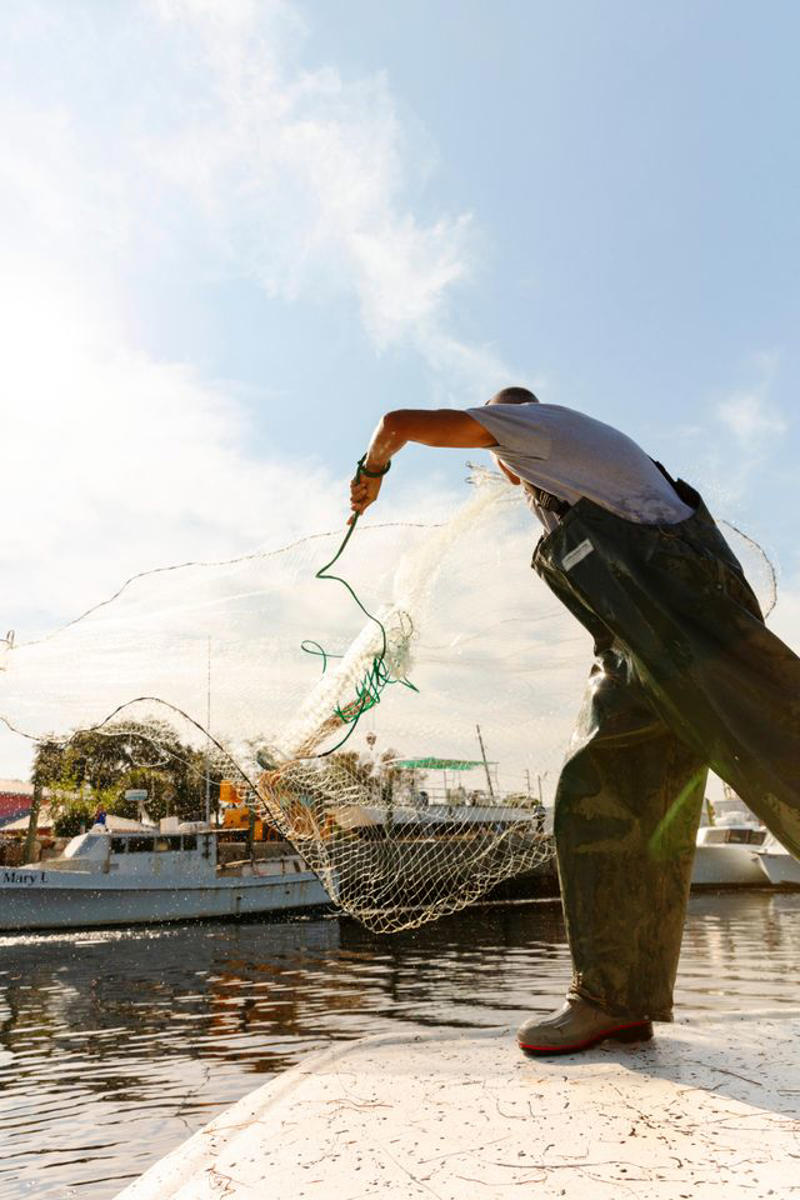 History of Tarpon Springs, Where To Eat In Tarpon Springs, What To Do In Tarpon Springs, Outdoor Adventure In Tarpon Springs