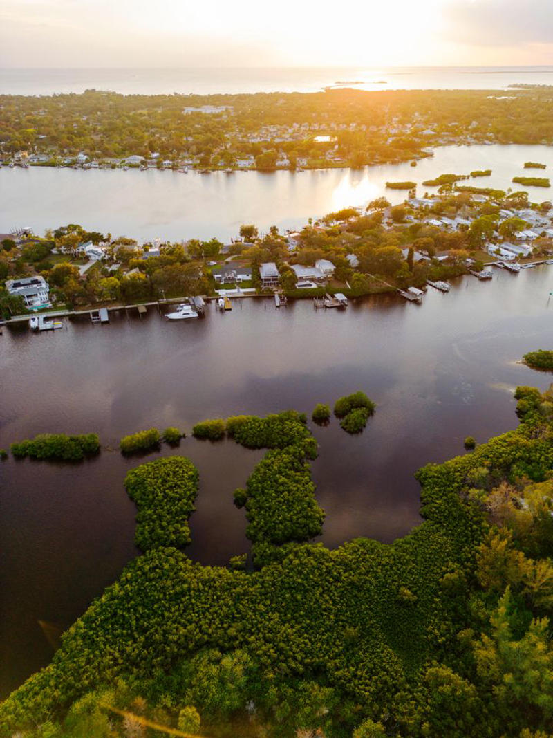 History of Tarpon Springs, Where To Eat In Tarpon Springs, What To Do In Tarpon Springs, Outdoor Adventure In Tarpon Springs