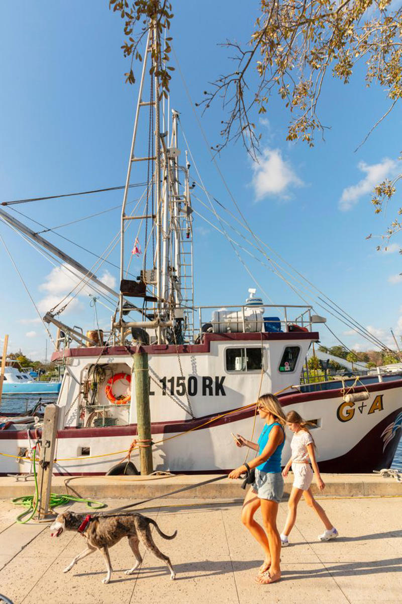 History of Tarpon Springs, Where To Eat In Tarpon Springs, What To Do In Tarpon Springs, Outdoor Adventure In Tarpon Springs