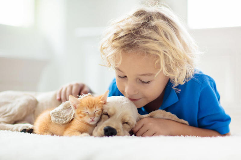 2) Your child should know how to touch the pet., 3) Your child should know the rules for the pet., 4) Your child should know to respect the pet's boundaries., 5) Your child should know that sharing isn't always caring.