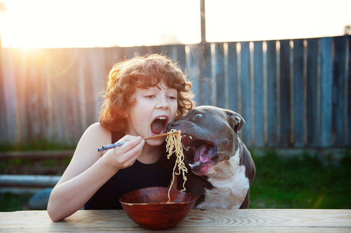 2) Your child should know how to touch the pet., 3) Your child should know the rules for the pet., 4) Your child should know to respect the pet's boundaries., 5) Your child should know that sharing isn't always caring.