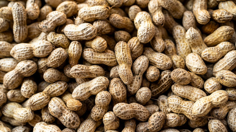 Too loud and chaotic, Inconsistent food quality, Numerous locations have failed health inspections, Ridiculous wait times, Staples were allegedly found in the food, Crushed peanut shells can cause accidents, Rising menu prices, Awful customer service, Accidental charges from the Roadhouse Pay tablet