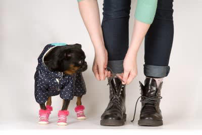 犬の冬散歩で注意すべきポイント！日常に潜む危険について, 足裏へのダメージ, 犬と安全に外出する方法, ウォーミングアップを行う, 寒さ対策を忘れない, 反射材などを装着する, 帰宅後のヒートショックに注意