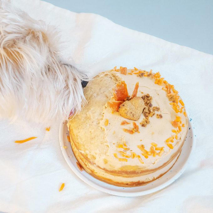 Peanut Butter Dog Biscuits, Sweet Potato Dog Treats, Frozen Dog Treats with Peanut Butter, Cheese Dog Treats, 3-Ingredient Dog Treats, Dog Cake Recipe, Pumpkin Ginger Dog Biscuits, Dog Charcuterie Board, Ginger Dog Biscuits