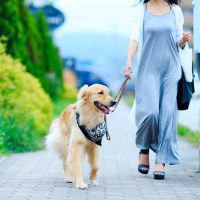 犬の散歩に行ってはいけない『NGタイミング』５選, 1.ご飯を食べた直後, 2.夏場の暑い時間帯, 3.雷が鳴っているとき, 4.天候が極端に悪いとき, 5.体調に懸念があるとき, 犬の散歩に適切な時間帯は？