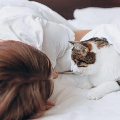 猫と「添い寝」するときにやってはいけない行動5選, 1.無理やり布団に入れる・抱きしめる, 2.香りの強い柔軟剤やアロマを使う, 3.寝返りで潰してしまう場所で寝る, 4.高いベッドから落ちる状態で寝る, 5.寝ている猫を無理に触って起こす, トラブルを防ぐための対策