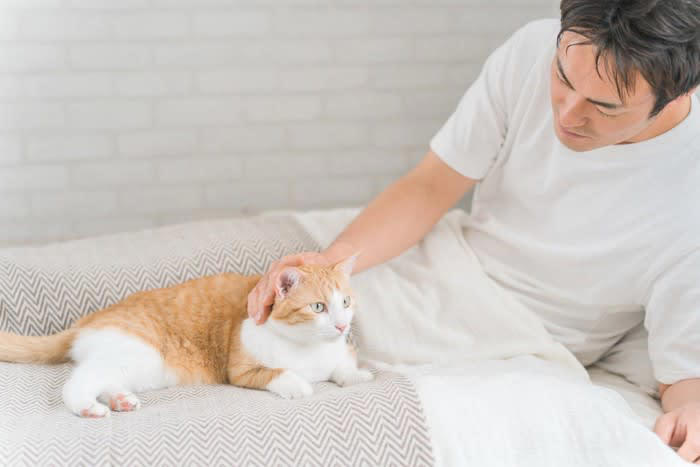 猫と「添い寝」するときにやってはいけない行動5選, 1.無理やり布団に入れる・抱きしめる, 2.香りの強い柔軟剤やアロマを使う, 3.寝返りで潰してしまう場所で寝る, 4.高いベッドから落ちる状態で寝る, 5.寝ている猫を無理に触って起こす, トラブルを防ぐための対策