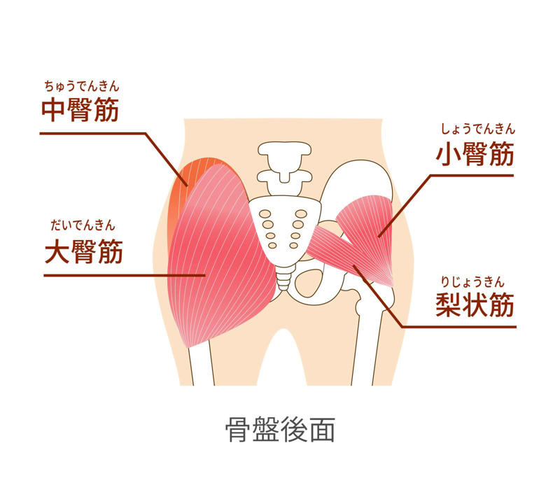 お尻の筋力低下がお腹太りを招くメカニズム, 眠ったお尻の筋肉を目覚めさせることが先決, 橋のポーズ（アレンジ）でお尻と体幹に同時アプローチ, 橋のポーズ（アレンジ）のやり方, 効果を高めるためのポイント