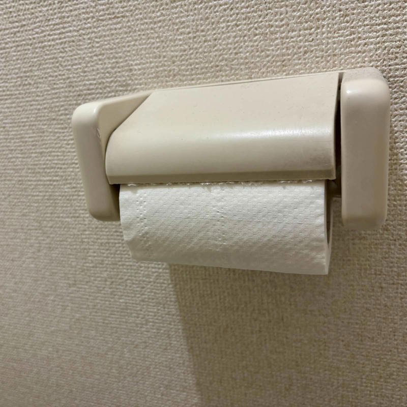ふと気になったトイレのもったいないスペース, 100均アイテムで試してみた方法, 実際に使って感じた変化, 小さな工夫が暮らしを楽しくする