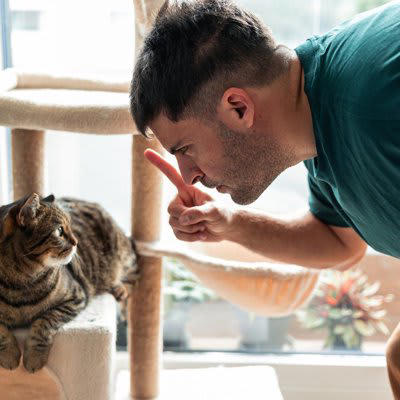 1.飼い主から無視される, 2.不適切なしつけをする, 3.お世話を放棄する, 信頼を取り戻す方法